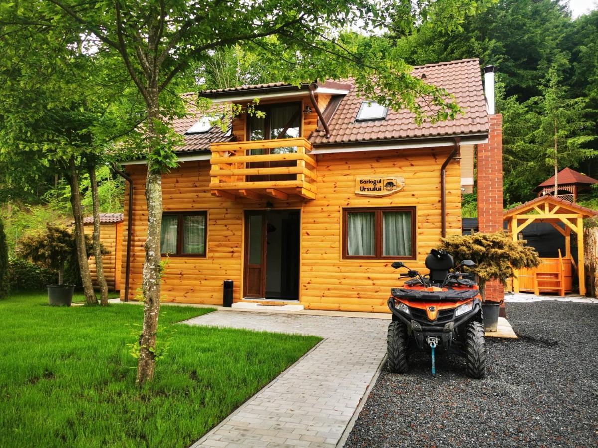 Bear'S Lair Chalet Porumbacu de Sus Esterno foto
