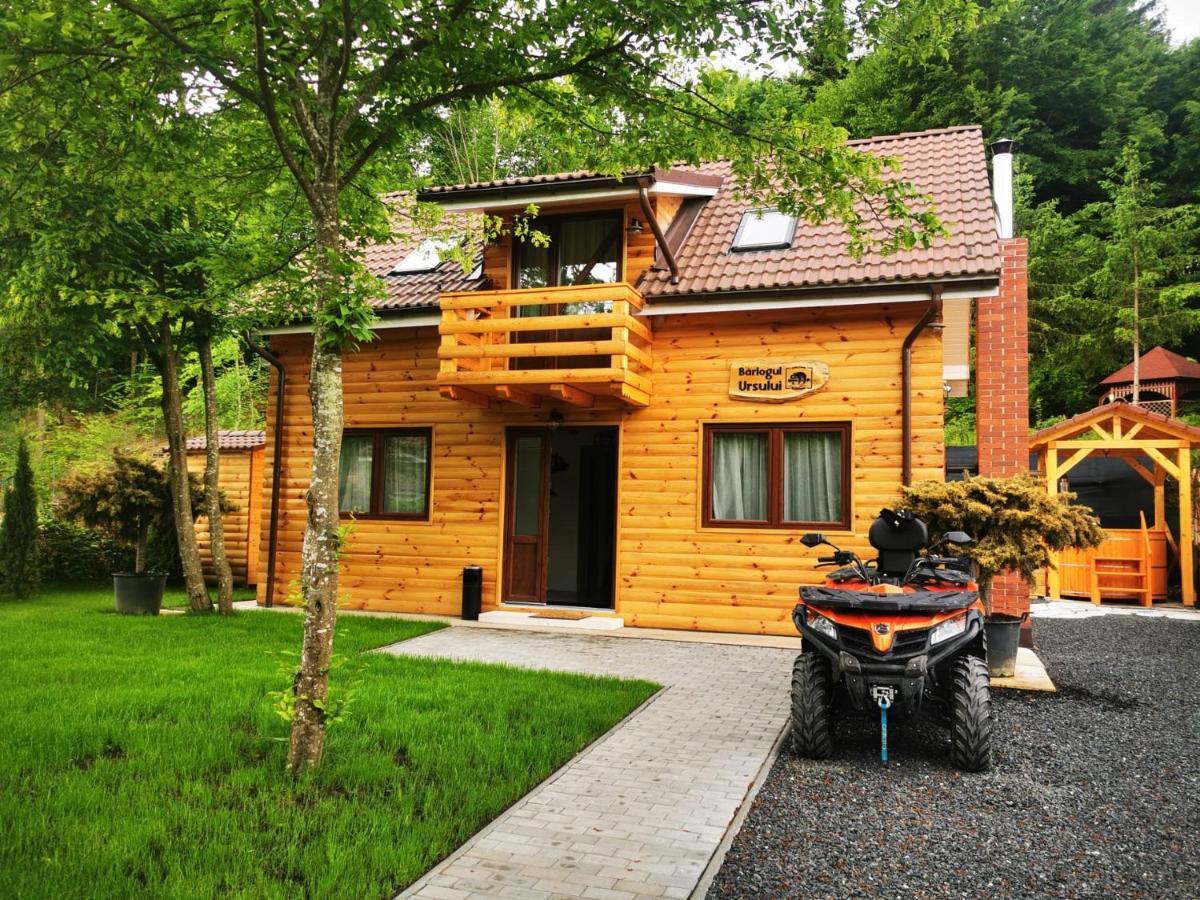 Bear'S Lair Chalet Porumbacu de Sus Esterno foto