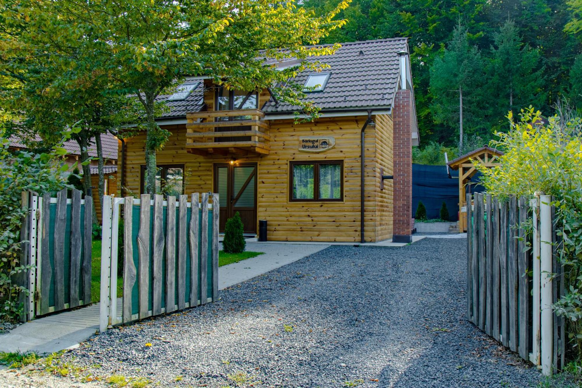 Bear'S Lair Chalet Porumbacu de Sus Esterno foto