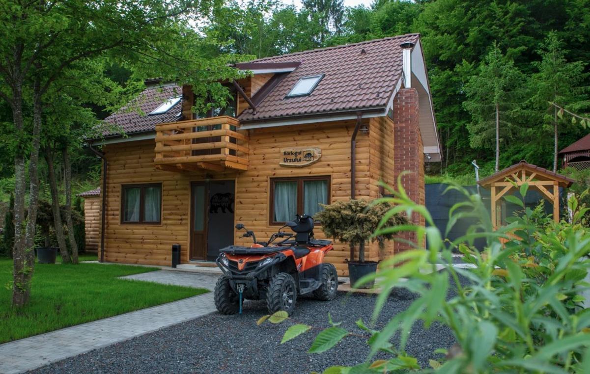 Bear'S Lair Chalet Porumbacu de Sus Esterno foto